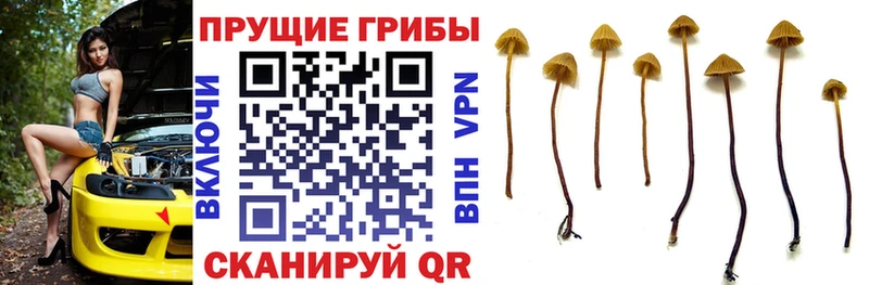 даркнет сайт  OMG ONION  Галлюциногенные грибы мухоморы  Магас 